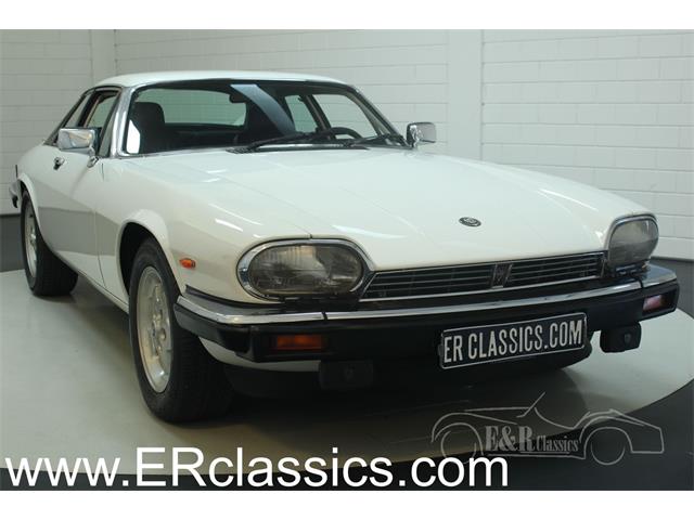 1988 Jaguar XJS (CC-1186472) for sale in Waalwijk, - Keine Angabe -