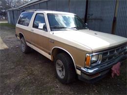 1988 Chevrolet Tahoe (CC-1187387) for sale in Cadillac, Michigan