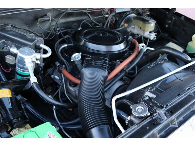 1984 Chevrolet C10 (CC-1188214) for sale in Conroe, Texas