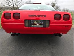 1993 Chevrolet Corvette (CC-1188785) for sale in Fredericksburg, Texas