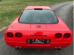 1993 Chevrolet Corvette (CC-1188785) for sale in Fredericksburg, Texas