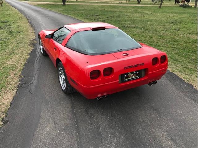 1993 Chevrolet Corvette (CC-1188785) for sale in Fredericksburg, Texas