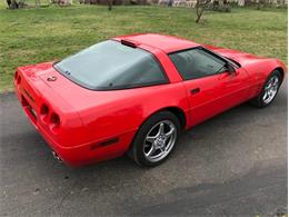 1993 Chevrolet Corvette (CC-1188785) for sale in Fredericksburg, Texas