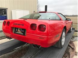 1993 Chevrolet Corvette (CC-1188785) for sale in Fredericksburg, Texas