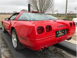 1993 Chevrolet Corvette (CC-1188785) for sale in Fredericksburg, Texas