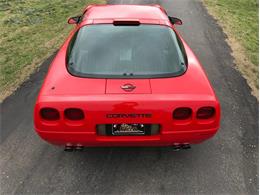 1993 Chevrolet Corvette (CC-1188785) for sale in Fredericksburg, Texas