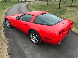1993 Chevrolet Corvette (CC-1188785) for sale in Fredericksburg, Texas