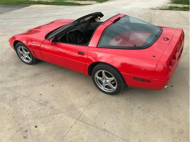 1993 Chevrolet Corvette (CC-1188785) for sale in Fredericksburg, Texas