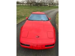 1993 Chevrolet Corvette (CC-1188785) for sale in Fredericksburg, Texas