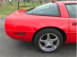 1993 Chevrolet Corvette (CC-1188785) for sale in Fredericksburg, Texas
