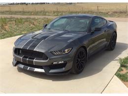 2016 Shelby Mustang (CC-1189188) for sale in Oklahoma City, Oklahoma
