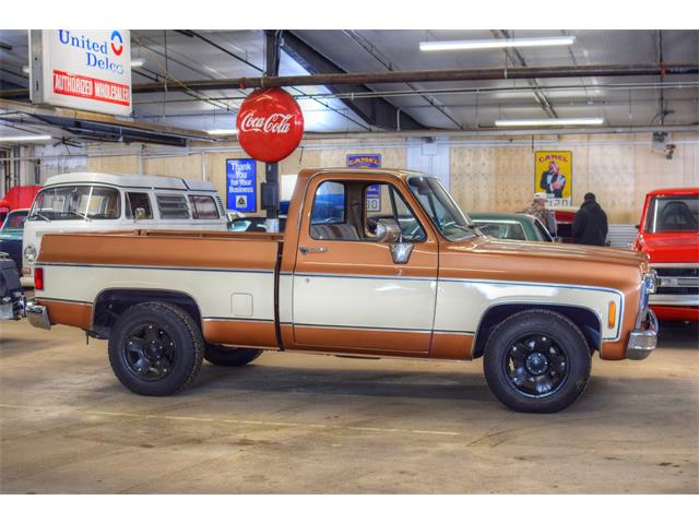 1980 Chevrolet Pickup (CC-1189478) for sale in Watertown, Minnesota