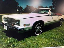 1984 Cadillac Eldorado (CC-1189789) for sale in Boca Raton, Florida