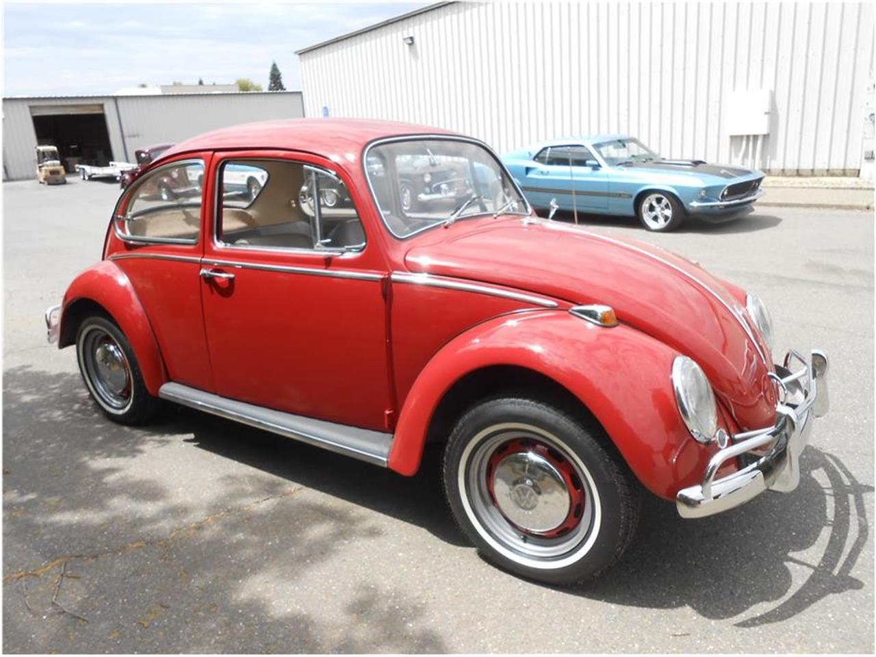 1966 Volkswagen Beetle for Sale | ClassicCars.com | CC-1189868