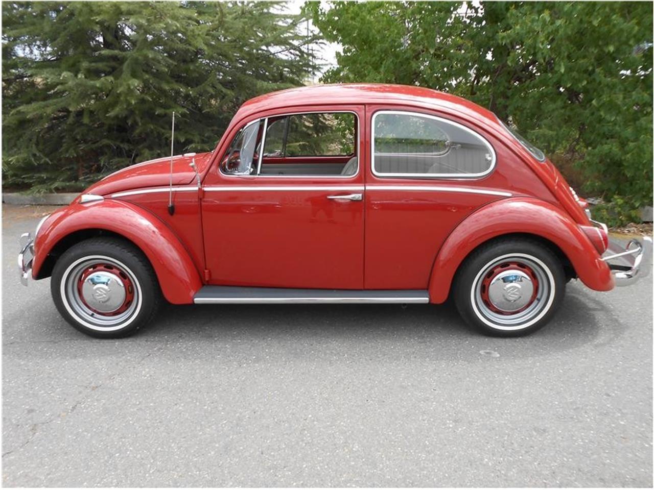 1966 Volkswagen Beetle For Sale Classiccarscom Cc 1189868