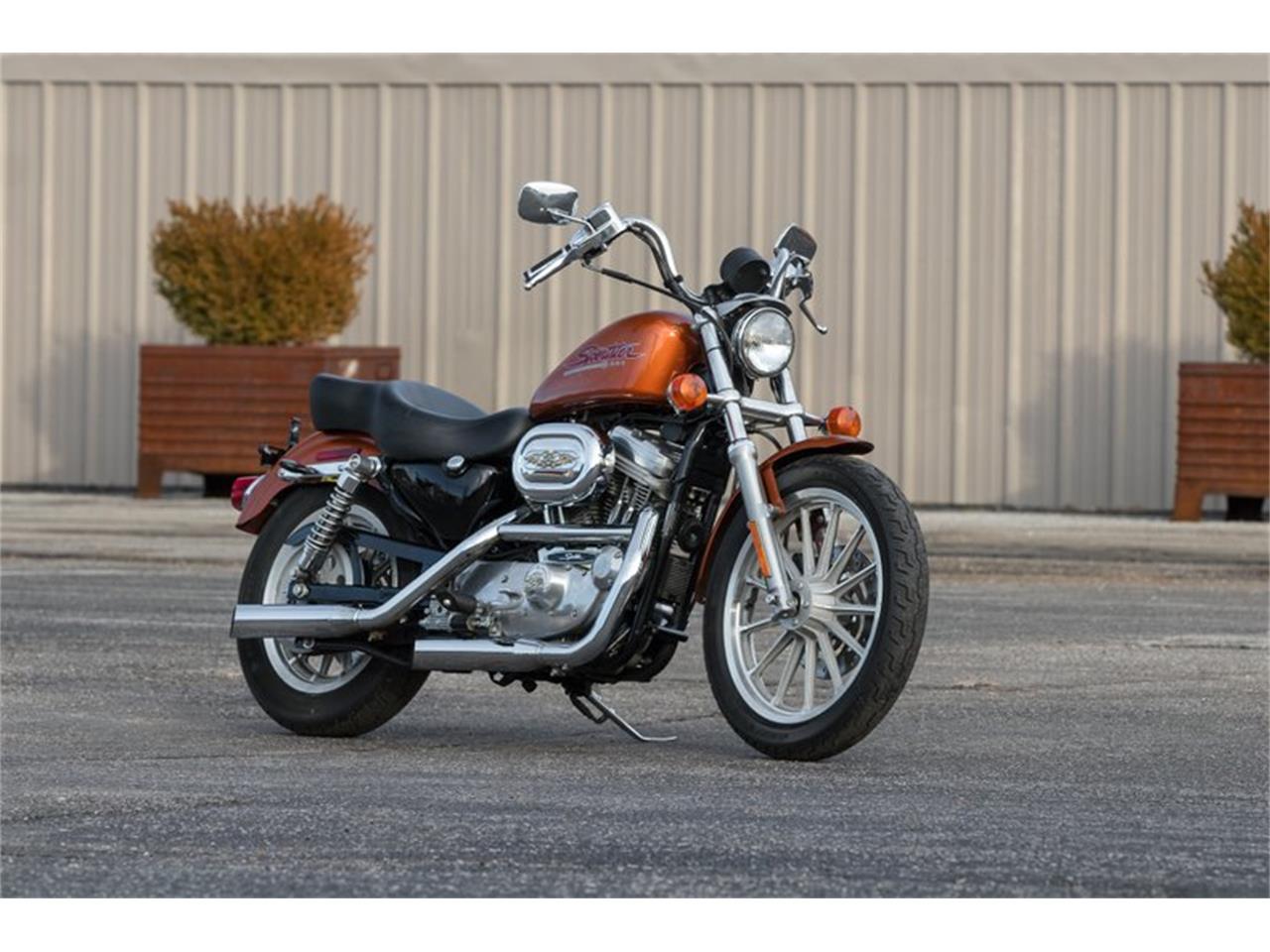 2001 HarleyDavidson Sportster for Sale CC1191134