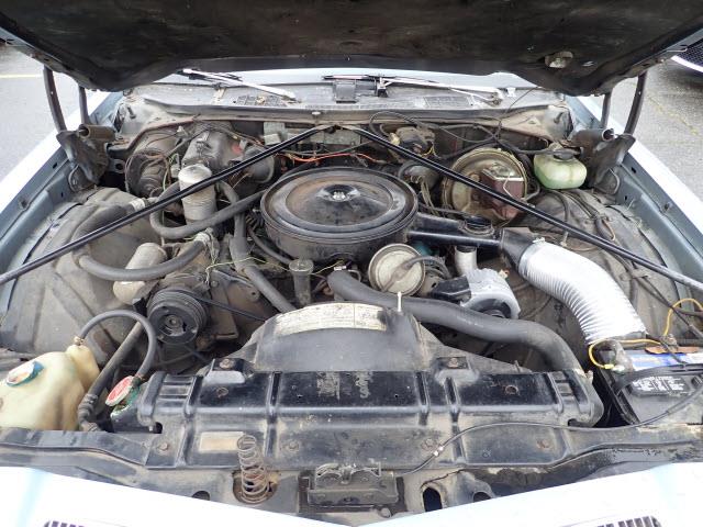 1977 Oldsmobile Cutlass Supreme (CC-1191905) for sale in Tacoma, Washington