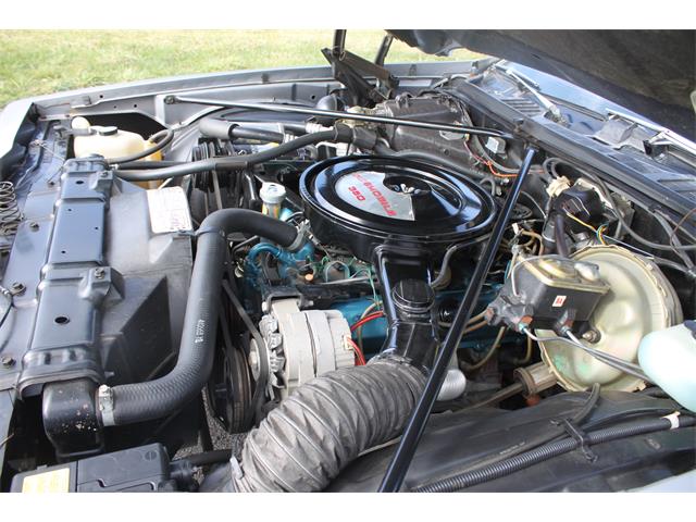 1976 Oldsmobile 442 (CC-1190194) for sale in Strawberry Plains, Tennessee