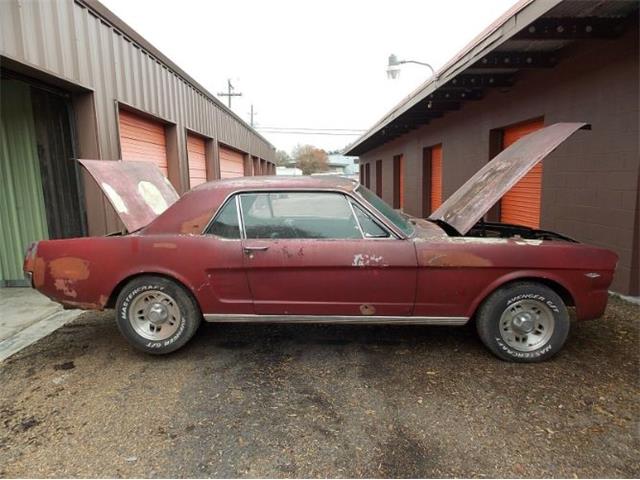 1966 Ford Mustang (CC-1192001) for sale in Cadillac, Michigan