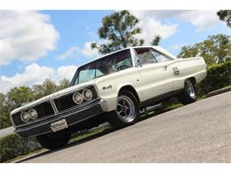 1966 Dodge Coronet (CC-1192309) for sale in Palmetto, Florida