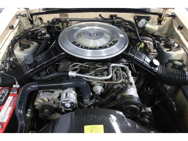 1984 Ford Mustang (CC-1192498) for sale in Concord, North Carolina