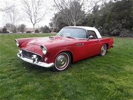 1955 Ford Thunderbird (CC-1193273) for sale in Bakersfield, California