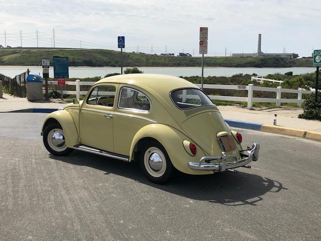 1964 Volkswagen Beetle (CC-1193692) for sale in Carlsbad, California