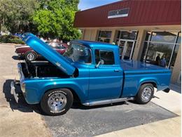1959 Ford F100 (CC-1193701) for sale in Dade City, Florida