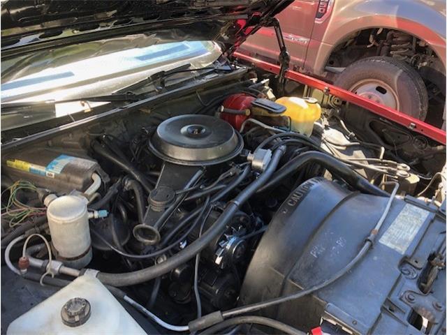 1980 Chevrolet El Camino (CC-1193702) for sale in Dade City, Florida