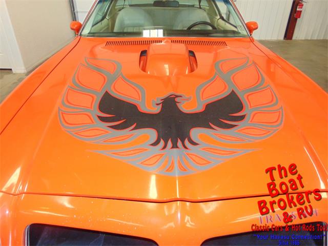 1976 Pontiac Firebird Trans Am (CC-1194339) for sale in Lake Havasu, Arizona