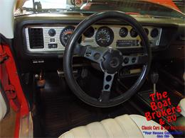 1976 Pontiac Firebird Trans Am (CC-1194339) for sale in Lake Havasu, Arizona