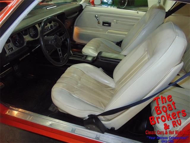1976 Pontiac Firebird Trans Am (CC-1194339) for sale in Lake Havasu, Arizona