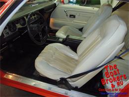 1976 Pontiac Firebird Trans Am (CC-1194339) for sale in Lake Havasu, Arizona