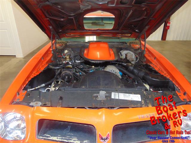 1976 Pontiac Firebird Trans Am (CC-1194339) for sale in Lake Havasu, Arizona