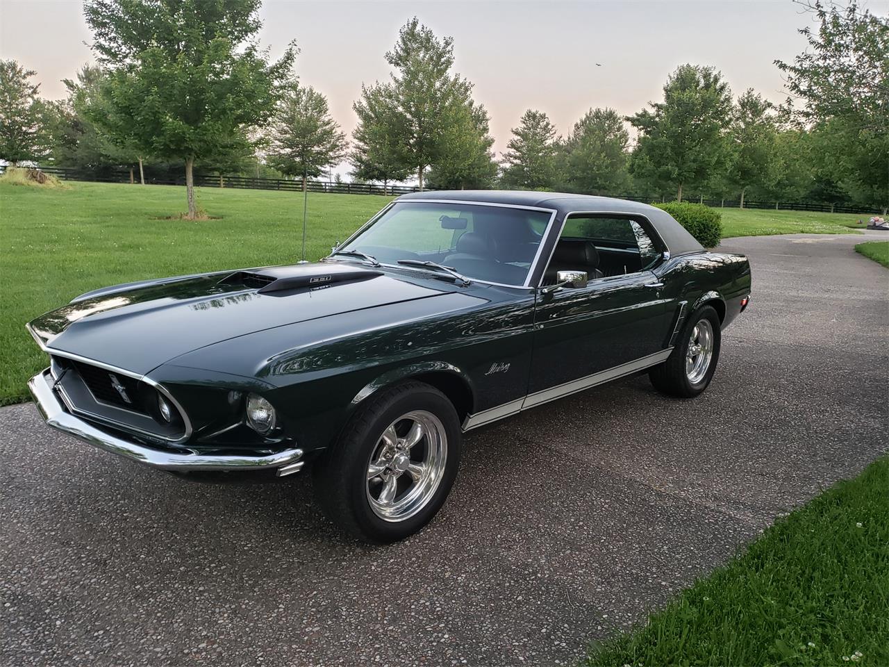 1969 Ford Mustang For Sale 