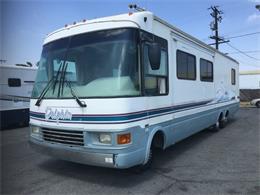 1998 National Dolphin (CC-1194644) for sale in Pahrump, Nevada