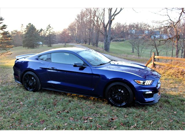 2016 Ford Mustang GT350 (CC-1196102) for sale in Saranac, Michigan