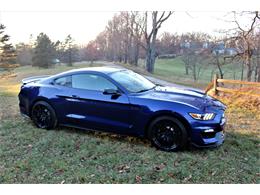 2016 Ford Mustang GT350 (CC-1196102) for sale in Saranac, Michigan