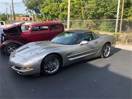 1999 Chevrolet Corvette (CC-1190064) for sale in Knoxville, Tennessee