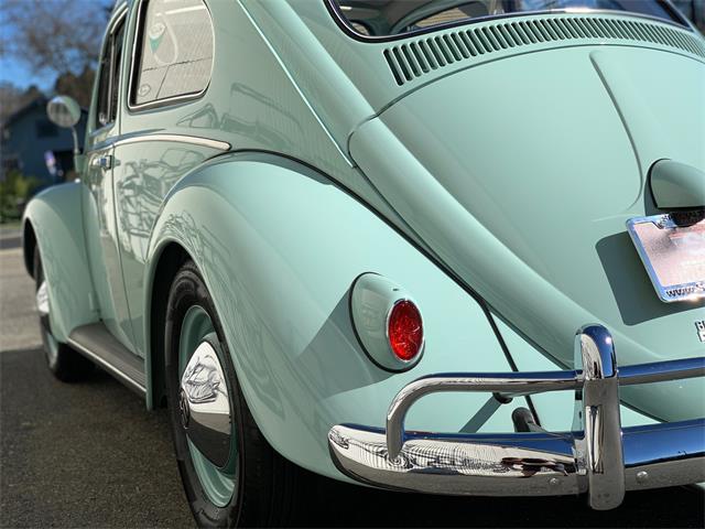 1961 Volkswagen Beetle For Sale | ClassicCars.com | CC-1197662