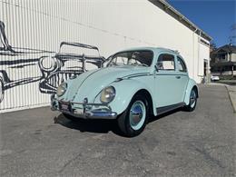 1961 Volkswagen Beetle (CC-1197662) for sale in Fairfield, California