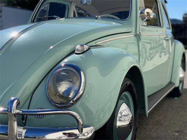 1961 Volkswagen Beetle For Sale | ClassicCars.com | CC-1197662