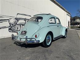 1961 Volkswagen Beetle For Sale | ClassicCars.com | CC-1197662