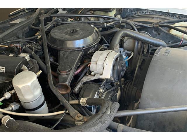 1982 Cadillac Coupe DeVille (CC-1197696) for sale in West Palm Beach, Florida