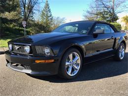2007 Ford Mustang GT/CS (California Special) (CC-1190774) for sale in Napa Valley, California