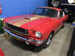 1966 Shelby GT350 (CC-1190779) for sale in Napa Valley, California