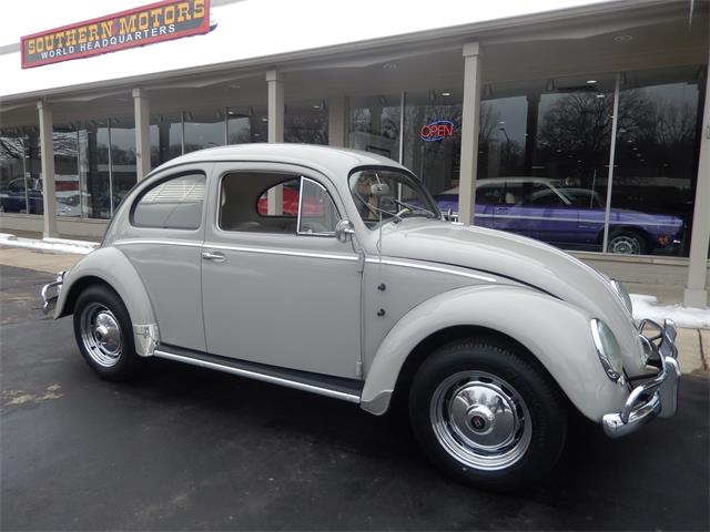 1955 Volkswagen Beetle (CC-1190802) for sale in Clarkston, Michigan