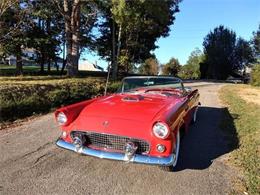 1955 Ford Thunderbird (CC-1198249) for sale in Long Island, New York