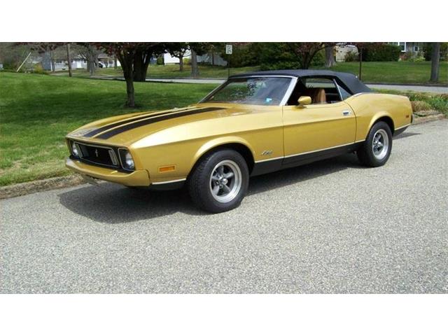 1973 Ford Mustang (CC-1198443) for sale in Long Island, New York
