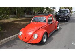 1963 Volkswagen Beetle (CC-1198562) for sale in Long Island, New York